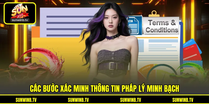 Giấy Phép Hoạt Động - Thông Tin Pháp Lý Cần Biết Về SUNWIN
