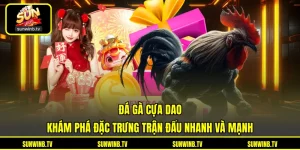 Đá Gà SUNWIN - Theo Dõi Trận Đấu Và Chiến Kê Trực Tuyến