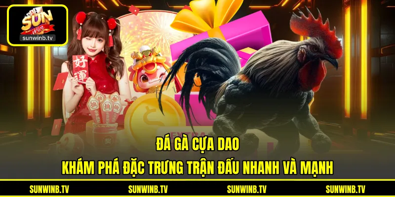 Đá Gà Thomo - Khám Phá Trường Đấu Và Trận Chiến Kịch Tính
