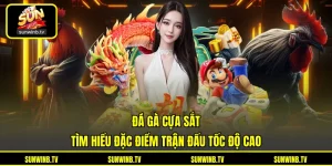 Đá Gà SUNWIN - Theo Dõi Trận Đấu Và Chiến Kê Trực Tuyến