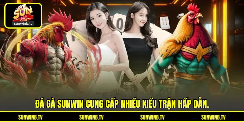 Đá Gà SUNWIN - Theo Dõi Trận Đấu Và Chiến Kê Trực Tuyến Đá Gà SUNWIN - Theo Dõi Trận Đấu Và Chiến Kê Trực Tuyến