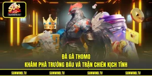 Đá Gà SUNWIN - Theo Dõi Trận Đấu Và Chiến Kê Trực Tuyến