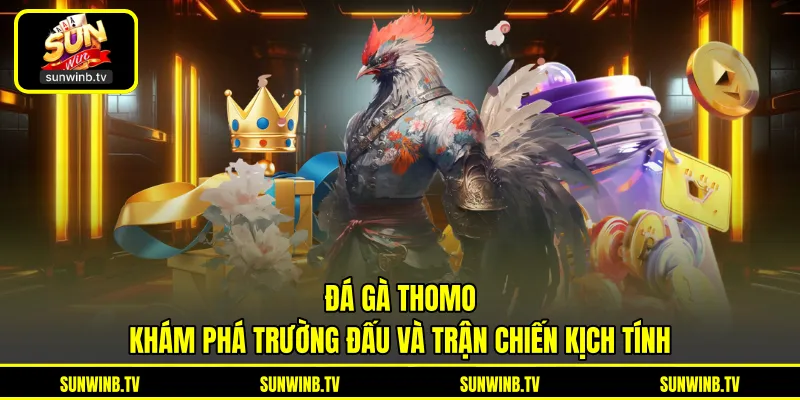 Đá Gà Thomo - Khám Phá Trường Đấu Và Trận Chiến Kịch Tính