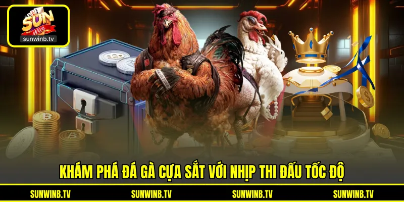 Đá Gà Cựa Sắt - Tìm Hiểu Đặc Điểm Trận Đấu Tốc Độ Cao Đá Gà Cựa Sắt - Tìm Hiểu Đặc Điểm Trận Đấu Tốc Độ Cao