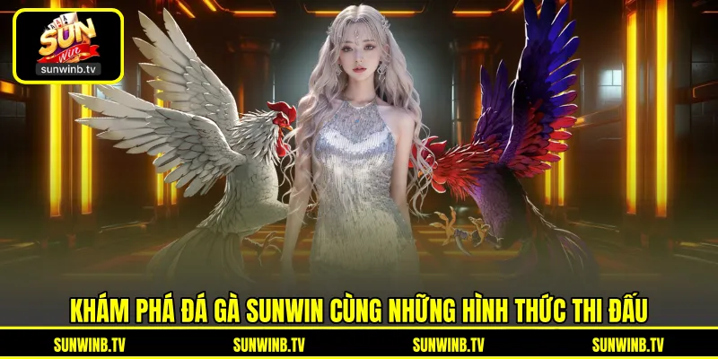 Đá Gà SUNWIN - Theo Dõi Trận Đấu Và Chiến Kê Trực Tuyến Đá Gà SUNWIN - Theo Dõi Trận Đấu Và Chiến Kê Trực Tuyến