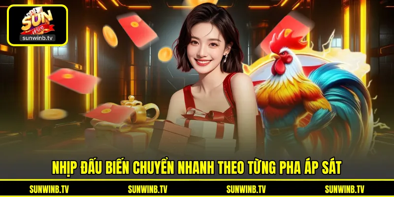 Đá Gà Cựa Dao - Khám Phá Đặc Trưng Trận Đấu Nhanh Và Mạnh