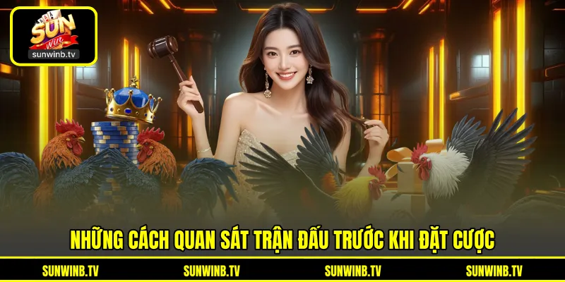 Đá Gà Cựa Sắt - Tìm Hiểu Đặc Điểm Trận Đấu Tốc Độ Cao Đá Gà Cựa Sắt - Tìm Hiểu Đặc Điểm Trận Đấu Tốc Độ Cao