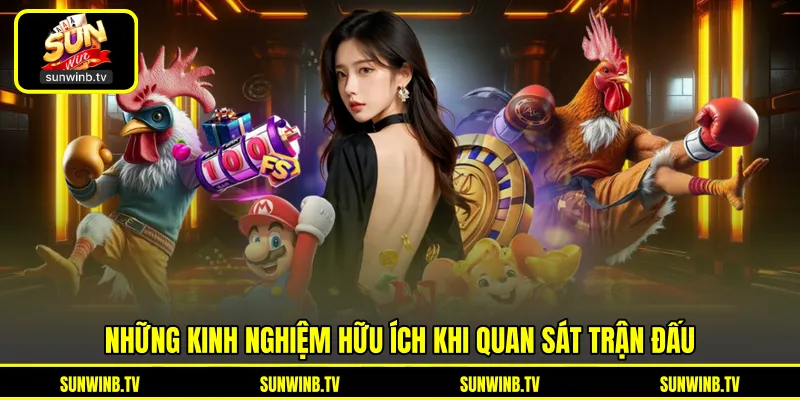 Đá Gà SUNWIN - Theo Dõi Trận Đấu Và Chiến Kê Trực Tuyến Đá Gà SUNWIN - Theo Dõi Trận Đấu Và Chiến Kê Trực Tuyến