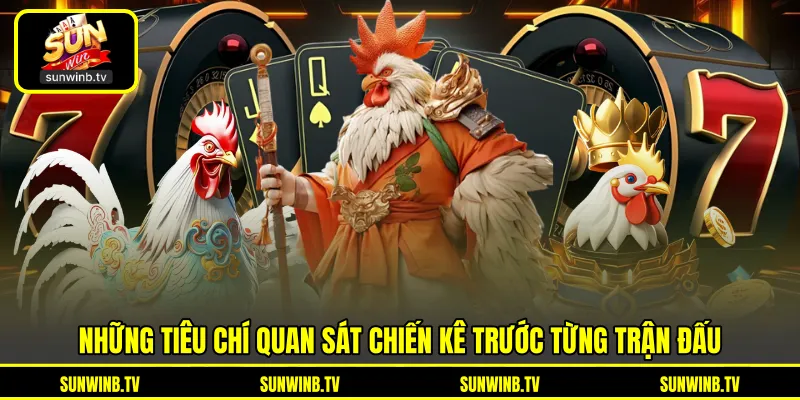 Đá Gà Thomo - Khám Phá Trường Đấu Và Trận Chiến Kịch Tính Đá Gà Thomo - Khám Phá Trường Đấu Và Trận Chiến Kịch Tính