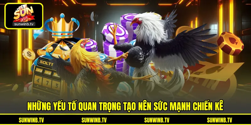 Đá Gà Cựa Sắt - Tìm Hiểu Đặc Điểm Trận Đấu Tốc Độ Cao Đá Gà Cựa Sắt - Tìm Hiểu Đặc Điểm Trận Đấu Tốc Độ Cao